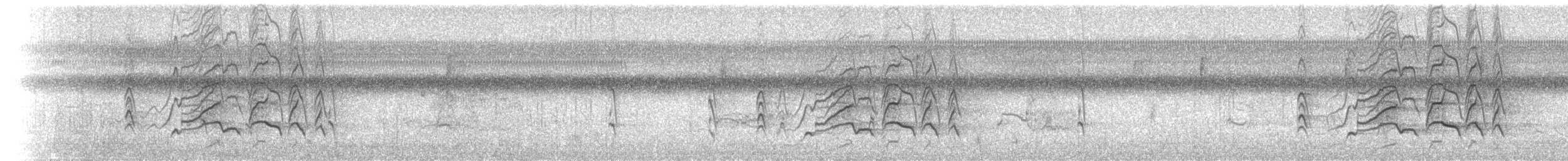 Rotschnabel-Pfeifgans - ML31843681