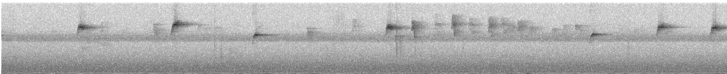 ノドジロキリハシハチドリ - ML318443091