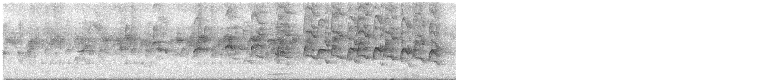 Halsbandsegler - ML318502801
