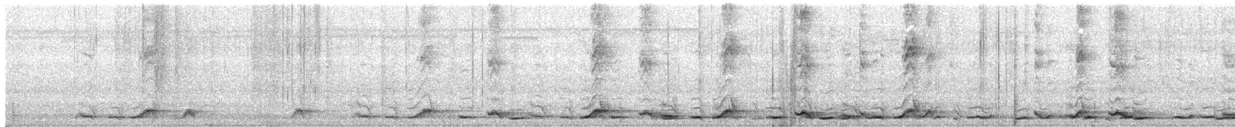 Тимелія-криводзьоб велика - ML318519321
