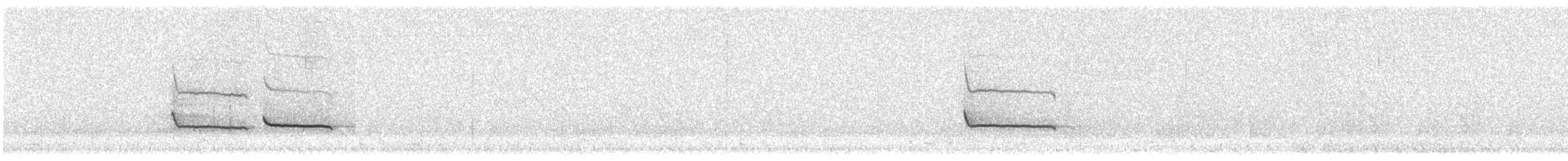 Say's Phoebe - ML318555811