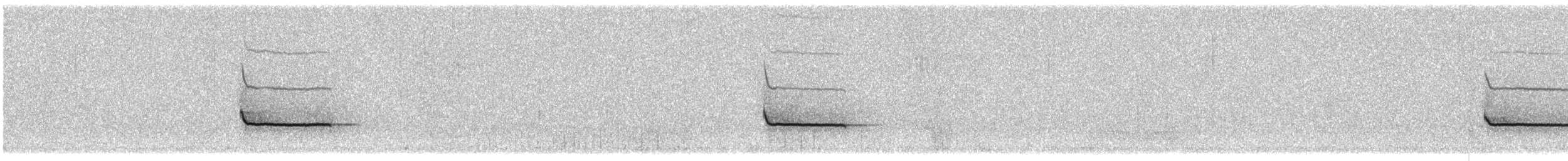 Say's Phoebe - ML318556051