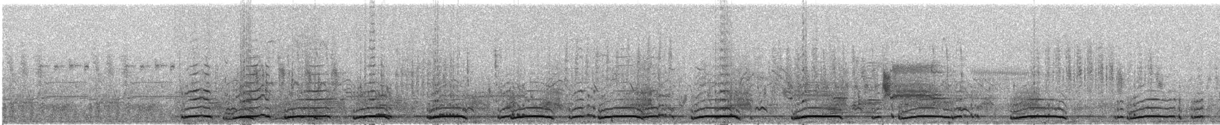 Cigno minore - ML318560971