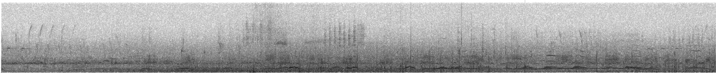 Cygne siffleur - ML318561041