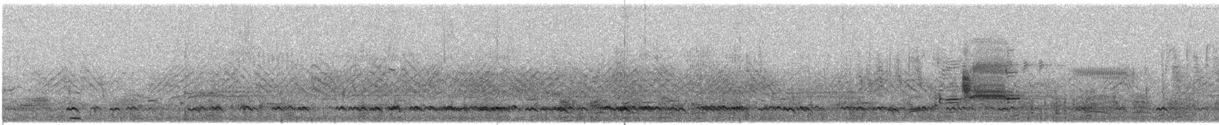 Codone - ML318561081