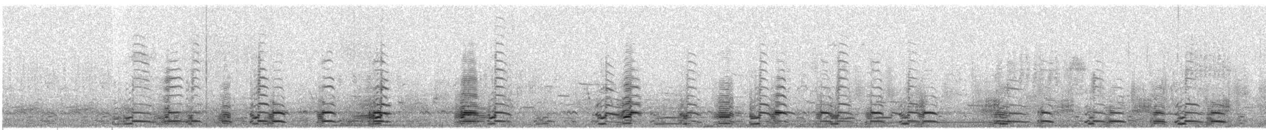 Oca canadese maggiore - ML318561121