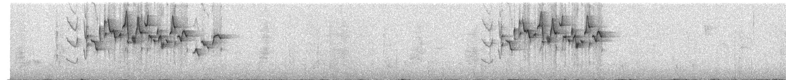 Troglodyte montagnard - ML318563261