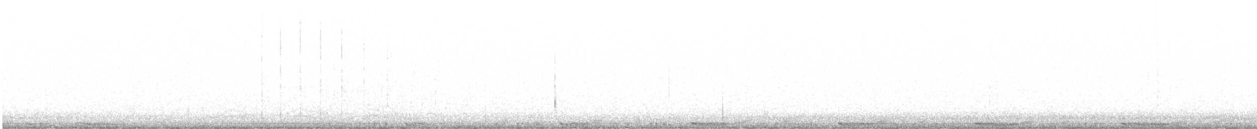 holub skalní (domácí) - ML318601341