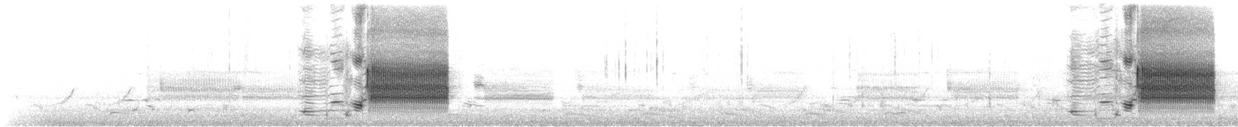 Al Kanatlı Karatavuk [phoeniceus grubu] - ML318604831