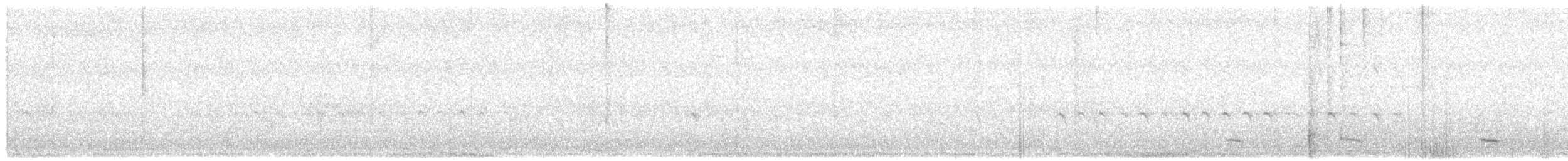 Common Scoter - ML318633811