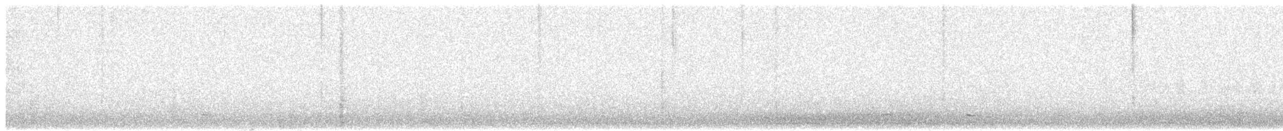 Common Scoter - ML318658261