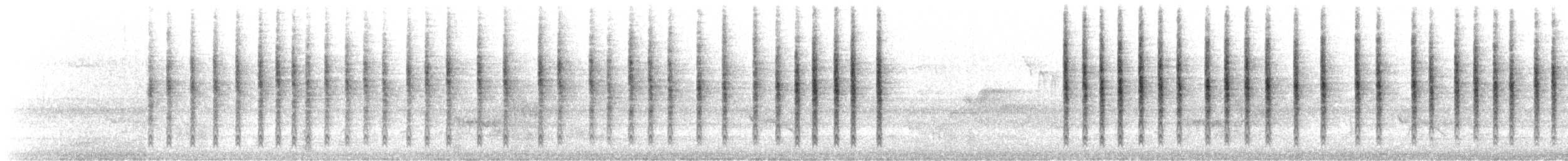 מלכילון אמריקני - ML318745131