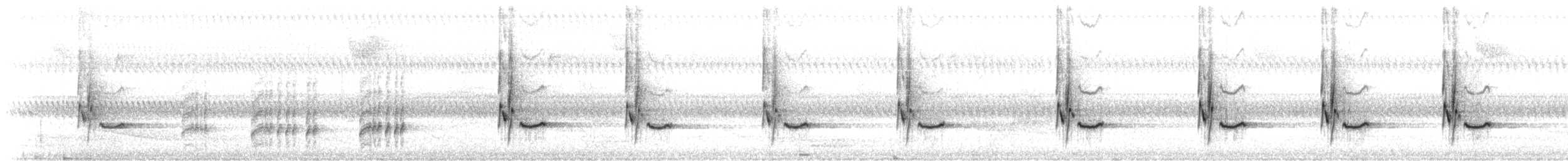 Carolina Wren - ML318786381