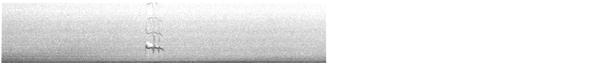 Короткоклювый бекасовидный веретенник - ML318812491
