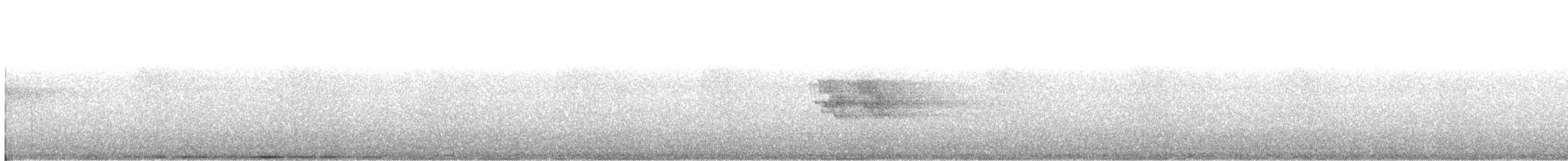 White-browed Wagtail - ML318831841