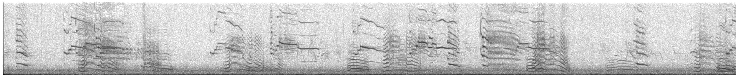 Lesser Black-backed Gull (Steppe) - ML318849081