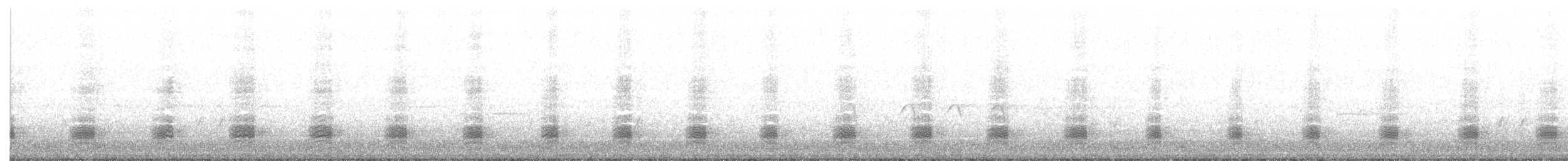 Stockente - ML318881281