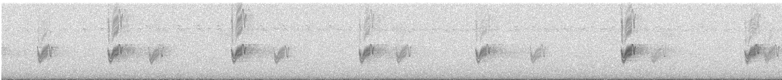 Savanna Nightjar - ML318886951