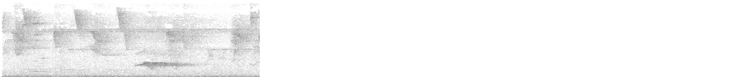 perletreløper - ML318911931