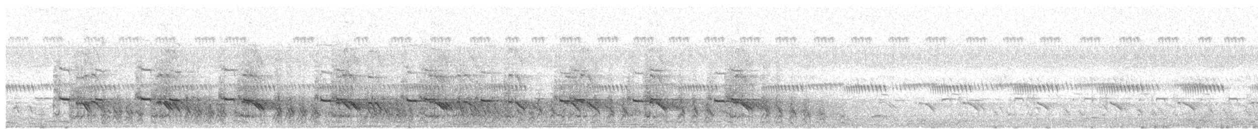 Wachtelfrankolin - ML31892501