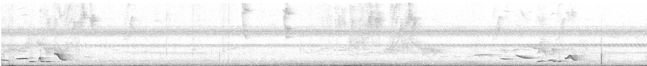 Чернобрюхий крапивник - ML318959311
