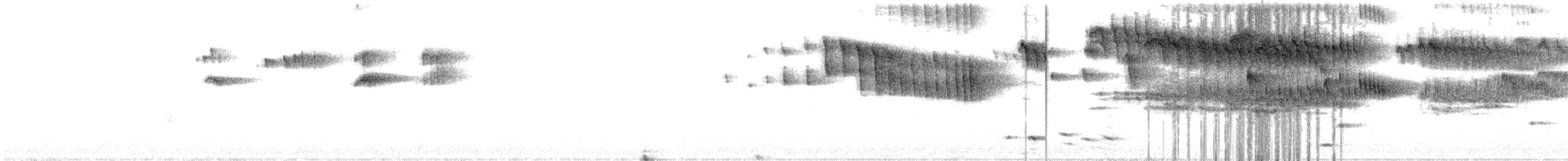 ニシヒメアマツバメ - ML318991391