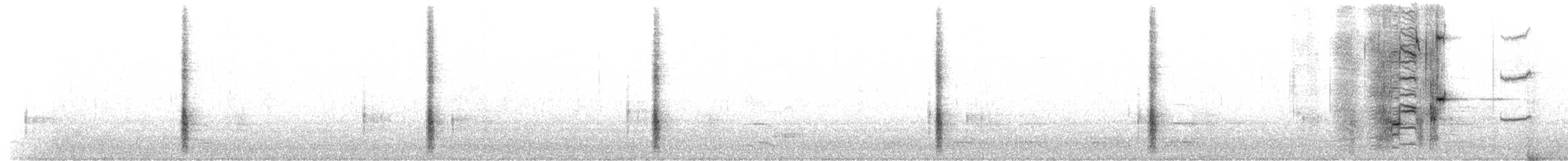 vlhovec lesklý (ssp. versicolor) - ML319017141