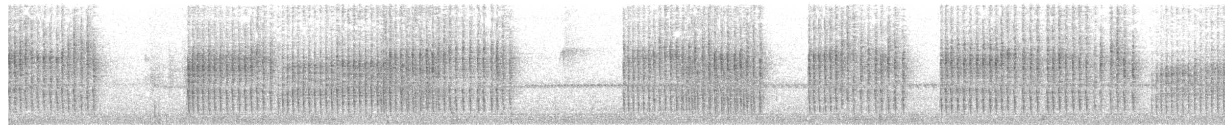 Troglodyte à poitrine blanche - ML31919431