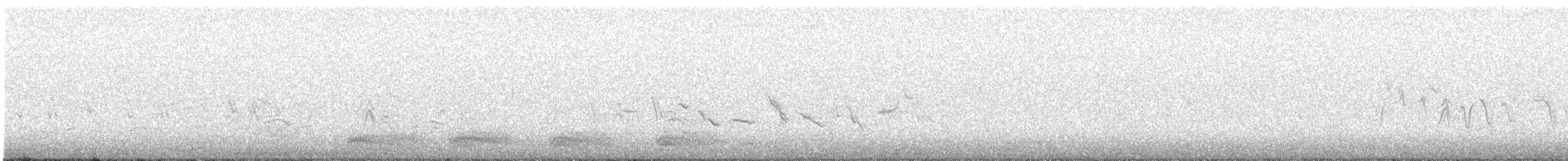 American Crow - ML319197171