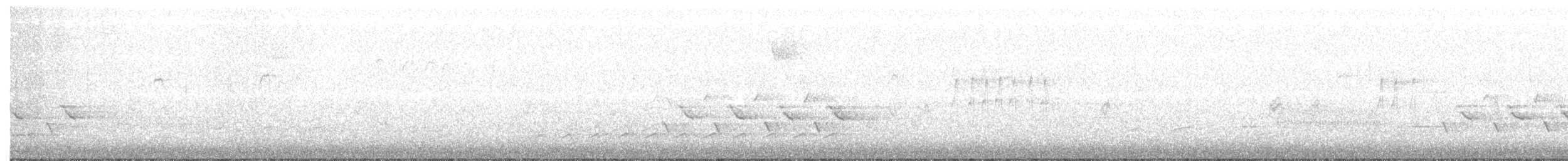Каролинский крапивник - ML319211351