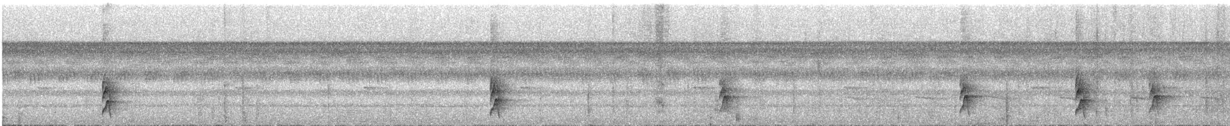 svartkronemaurfugl (minor/jensoni) - ML319232591