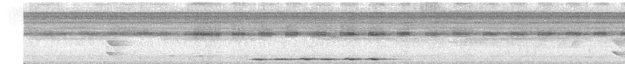 Мурашниця плямиста - ML319292881