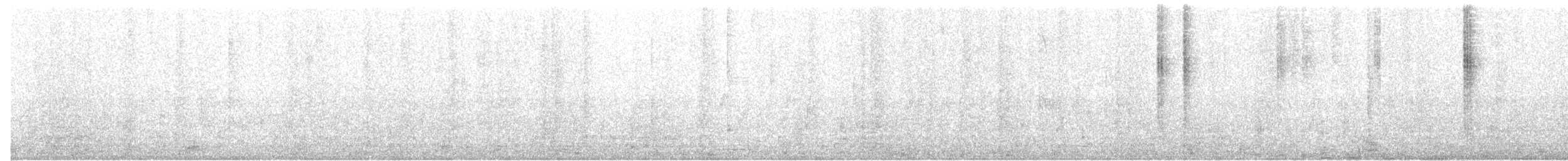 Colibri à gorge améthyste - ML31935751