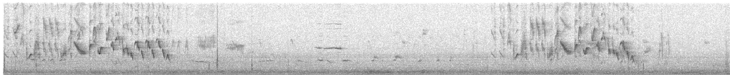 Troglodyte familier (groupe aedon) - ML319360271