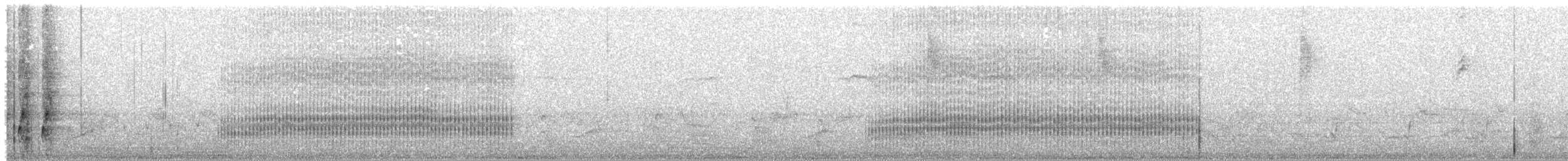 Geai de Steller (groupe stelleri) - ML319360301