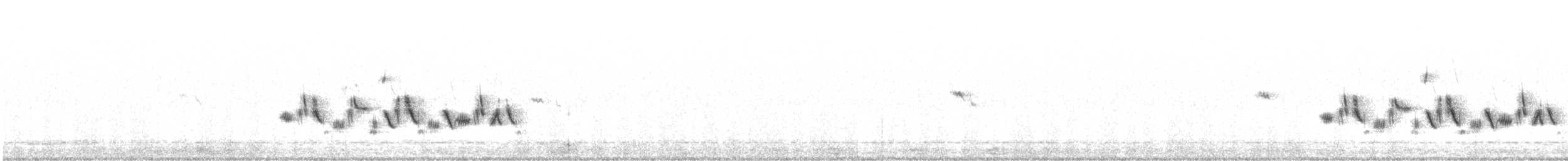 クロフヒメドリ（canescens） - ML319374851