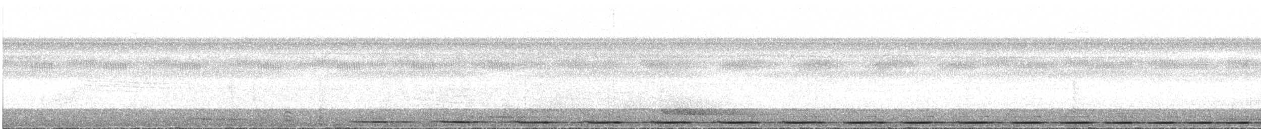 Striated Antthrush - ML319464411
