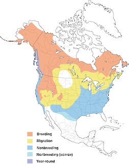 Figure 1. Distribution of the Fox Sparrow. - Range Map