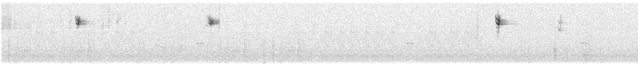 Усатая пизарита-инка - ML31951441