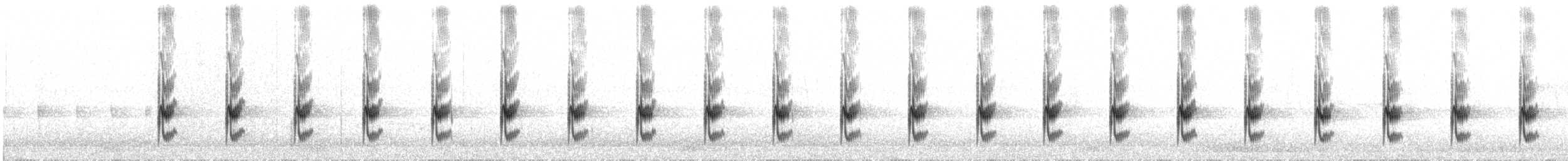 Neblina Tapaculo - ML31953431