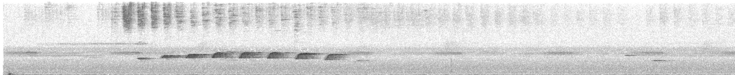 Scaled Antpitta - ML319536191