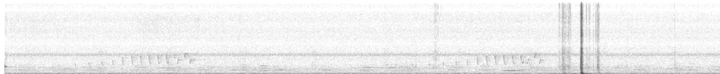 Buff-collared Nightjar - ML319617321