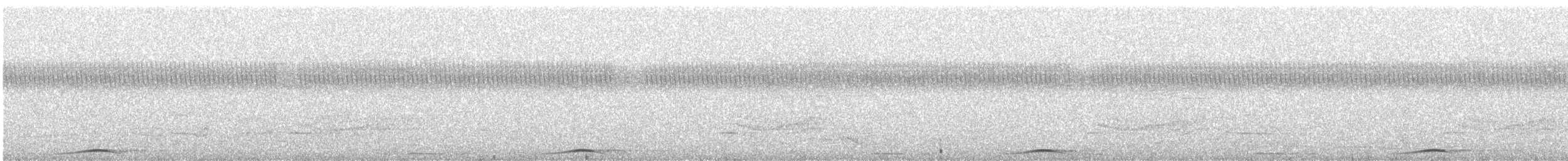 長尾鳩 - ML319674571