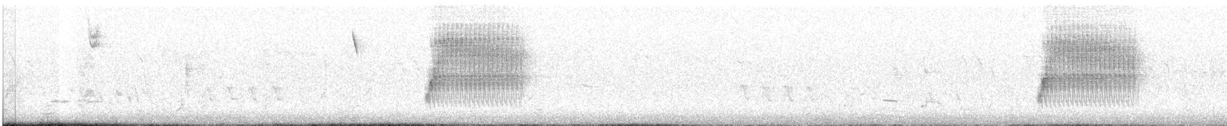 Тауї плямистий - ML319699381