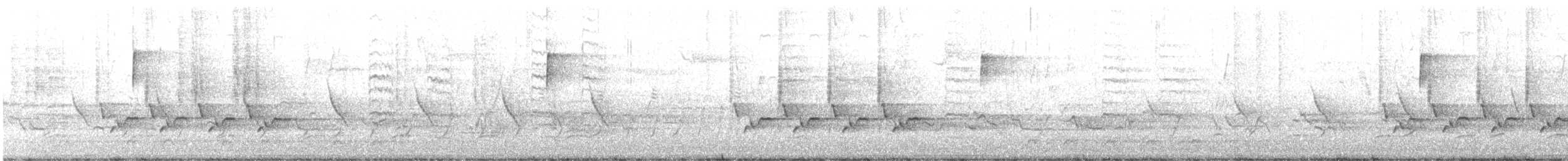 Carolina Wren - ML319704921