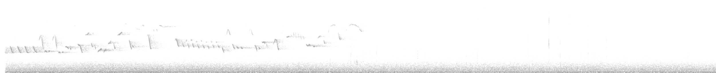 Troglodyte des forêts - ML319716071