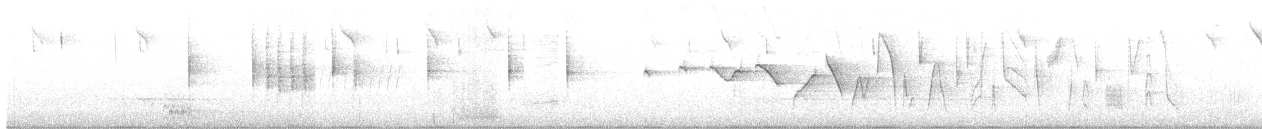 Трясогузковый певун - ML319716081
