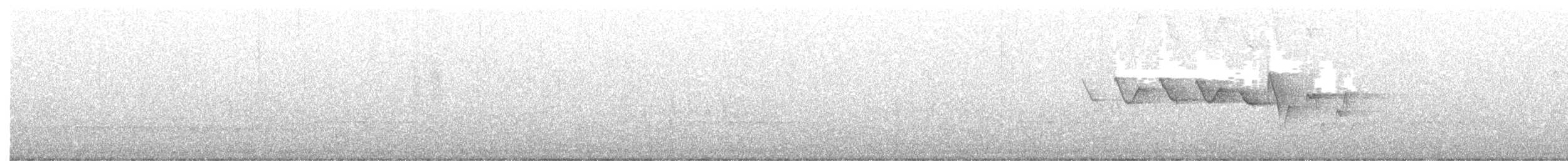 Трясогузковый певун - ML319759951