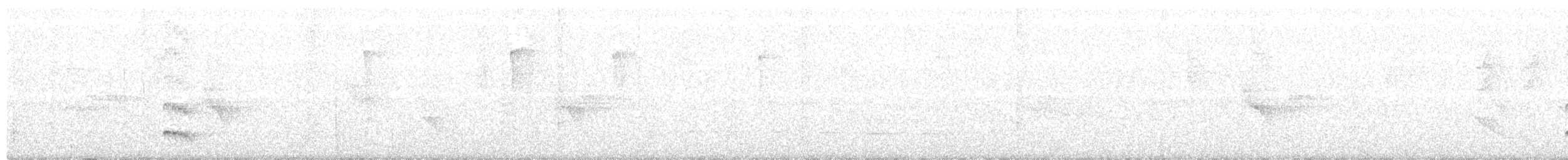 Southern Bentbill - ML319791521