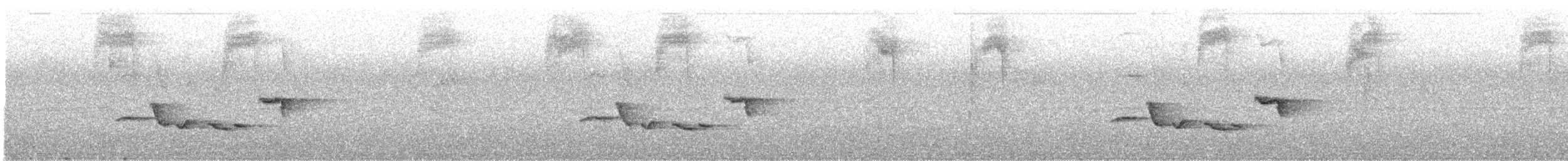 Gray-breasted Wood-Wren - ML319793451